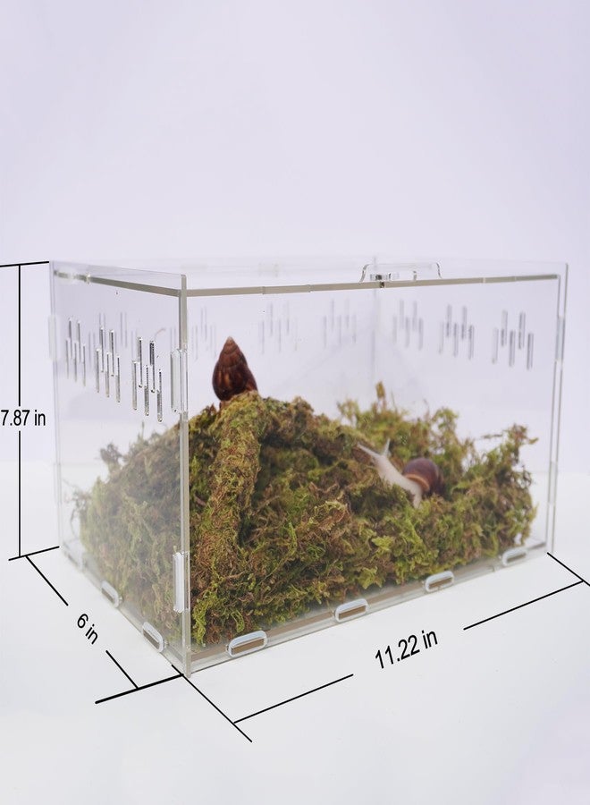 Begeterday Snail Terrarium Kit, Include 11.22 in x 7.87 in x 6 in Snail Terrarium，2.1oz Pet Snails Moss, 9 Inch Bendable Pet Snail Climbing Toys, Creating The Perfect Habitat for Your Cute - Image 5